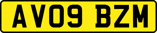 AV09BZM