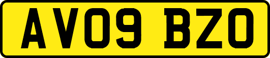 AV09BZO