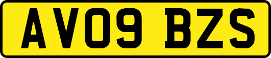 AV09BZS