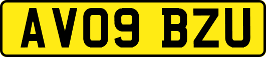 AV09BZU