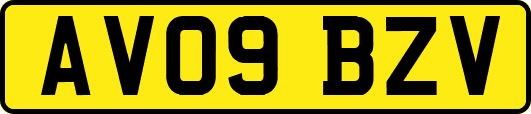 AV09BZV