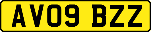 AV09BZZ
