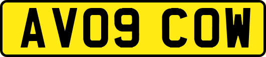 AV09COW