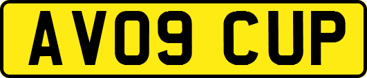 AV09CUP