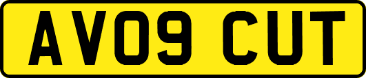 AV09CUT