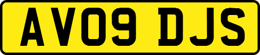 AV09DJS