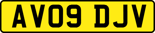 AV09DJV