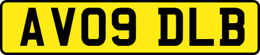 AV09DLB