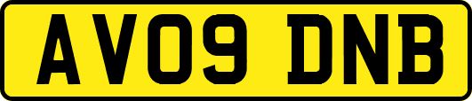 AV09DNB