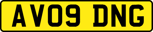 AV09DNG