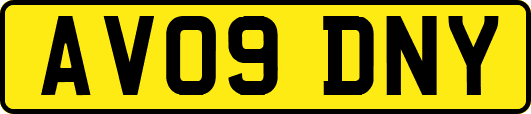 AV09DNY