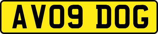 AV09DOG