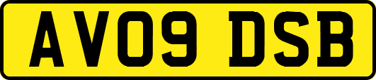 AV09DSB