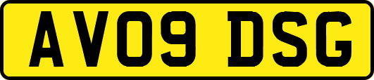 AV09DSG