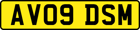 AV09DSM