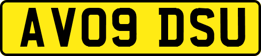 AV09DSU