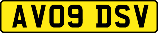 AV09DSV