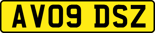 AV09DSZ