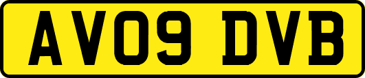 AV09DVB