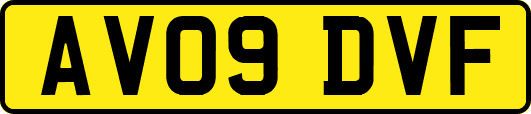 AV09DVF