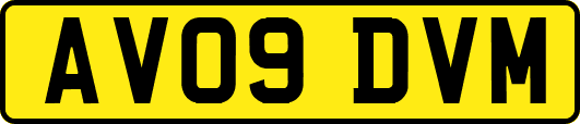 AV09DVM
