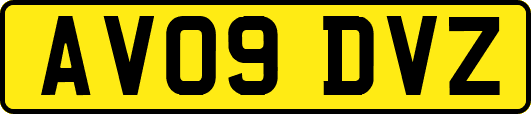 AV09DVZ