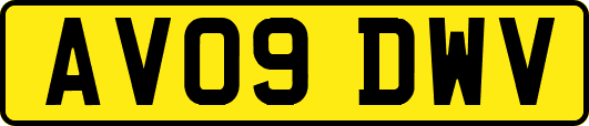 AV09DWV