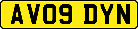 AV09DYN