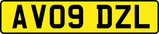 AV09DZL