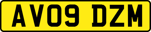 AV09DZM