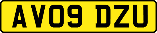 AV09DZU
