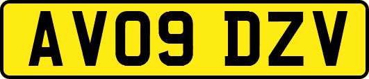 AV09DZV