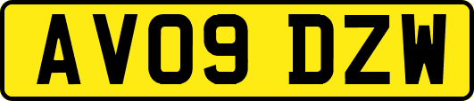 AV09DZW