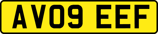 AV09EEF