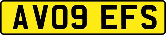 AV09EFS