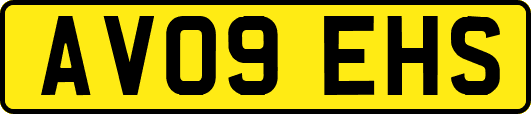 AV09EHS