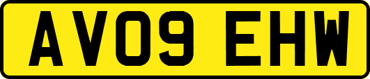 AV09EHW