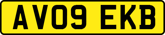 AV09EKB