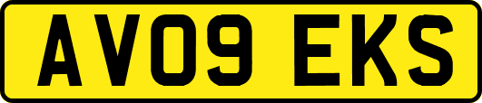 AV09EKS