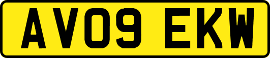 AV09EKW