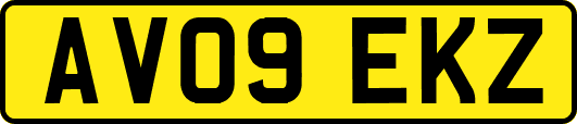 AV09EKZ