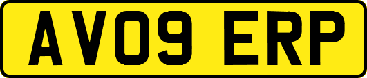 AV09ERP