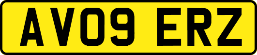 AV09ERZ