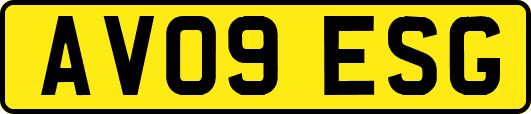 AV09ESG