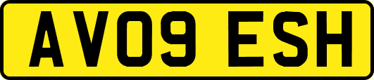 AV09ESH
