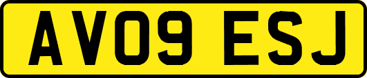 AV09ESJ