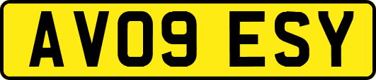 AV09ESY