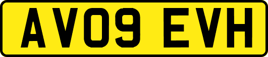 AV09EVH