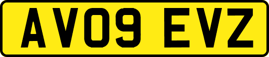 AV09EVZ