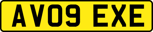 AV09EXE